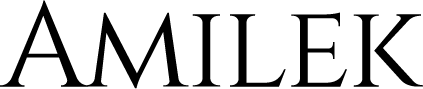 + company logotype