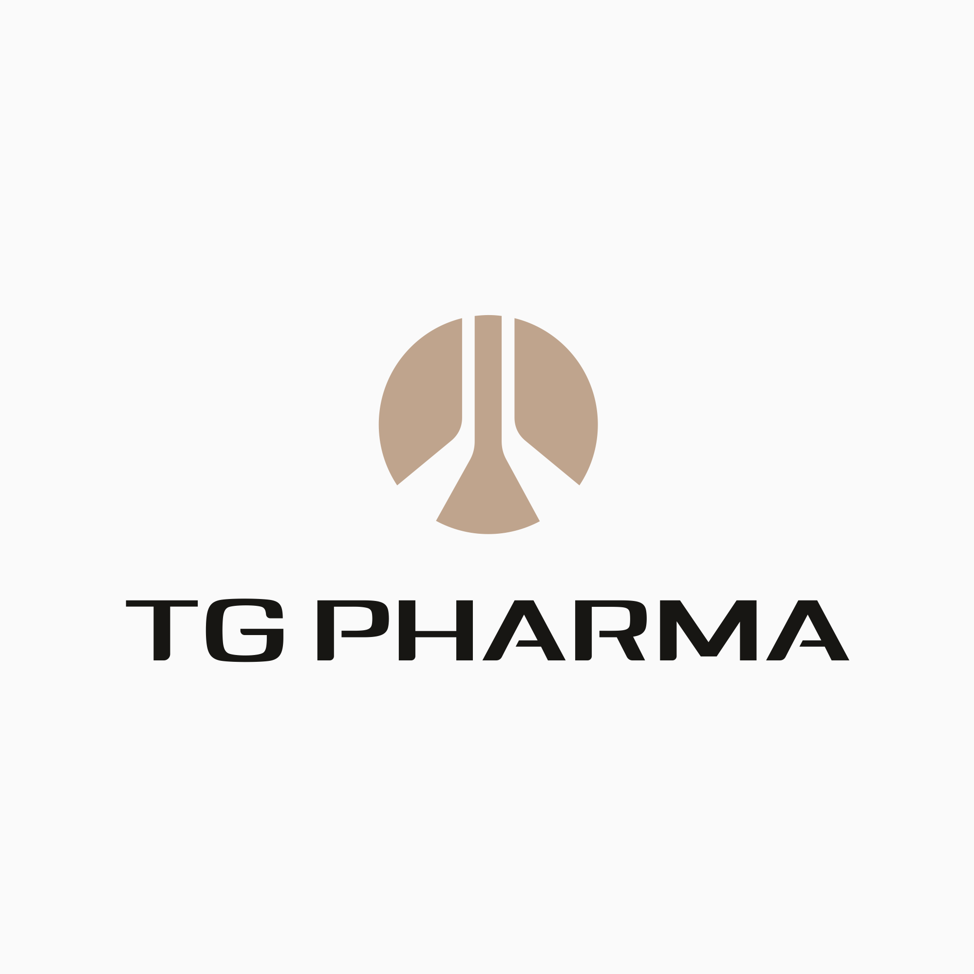 + company logotype