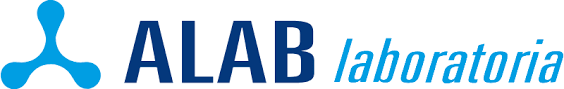 + company logotype