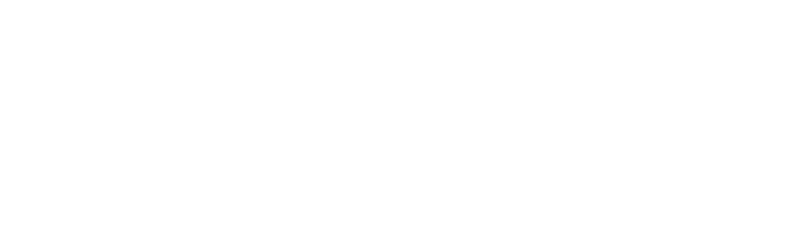 + company logotype