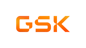 + company logotype