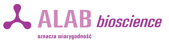 + company logotype