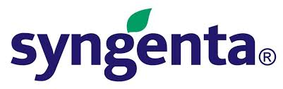 + company logotype