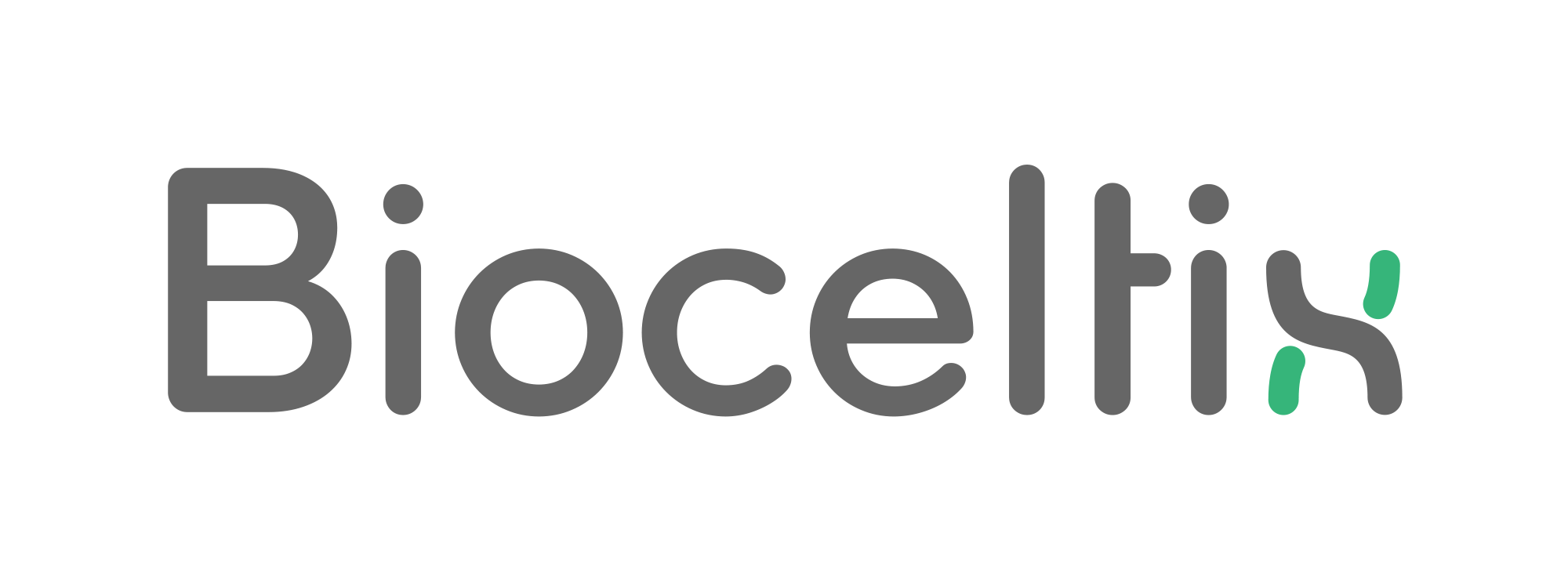 + company logotype