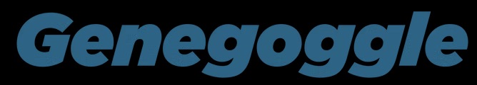 + company logotype